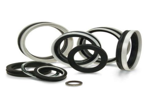 oil seals (1)